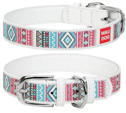 Collar Ошейник 
