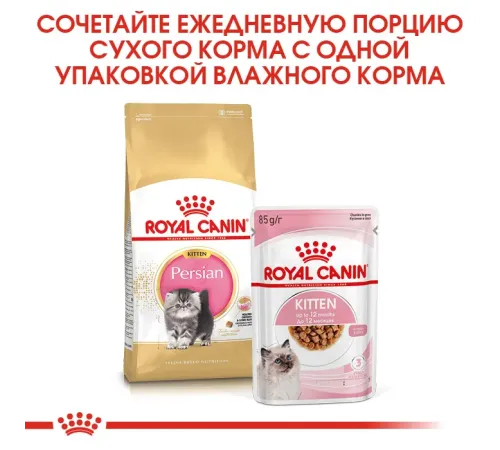 Royal Canin Persian Kitten 2 кг