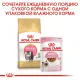 Royal Canin Persian Kitten 2 кг