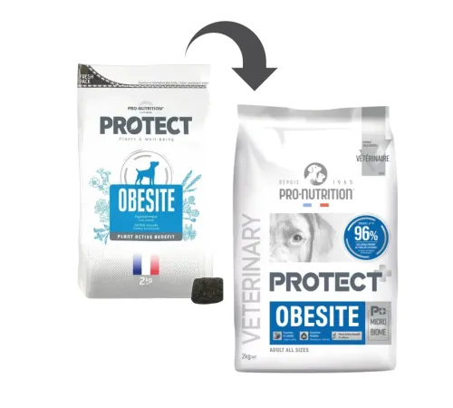 Flatazor Protect Obesite Dog, 2 кг