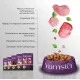 Yumster Adult Cat (Индейка в соусе), 85 г