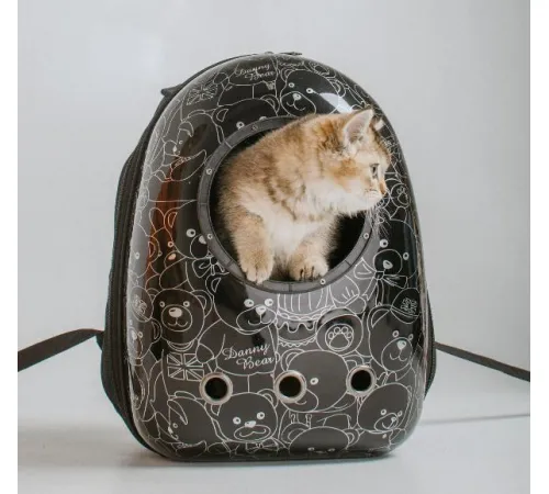 Catsy Рюкзак-переноска 