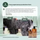 ProPhyto Шампунь для собак Derma Protect, 250 мл