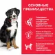 Hill's Science Plan для собак крупных пород для поддержания здоровья суставов и мышечной массы (ягненок, рис), 14 кг
