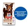 2,5 кг