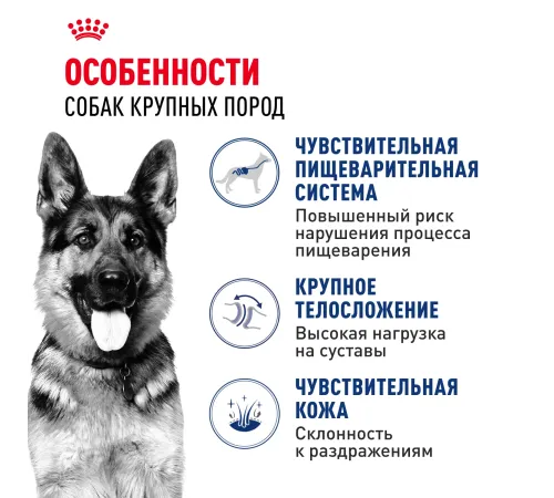 Royal Canin Maxi Adult, 3 кг