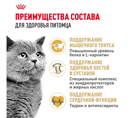 Royal Canin British Shorthair Adult, 400 г