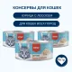 Wanpy Cat Консервы Курица с лососем, 95 г