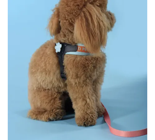 United Pets Шлейка Complete me, голубая с оранжевым, 3,5 х 48-64 см
