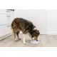 Trixie Миска-коврик Slow Feeding, 0,45 л/ 23 см