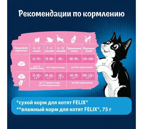 Felix Двойная вкуснятина для котят (Курица), 600 г