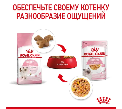 Royal Canin Kitten (желе) 85 гр