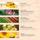 ProPhyto Раствор для ушей Ear Protect, 100 мл
