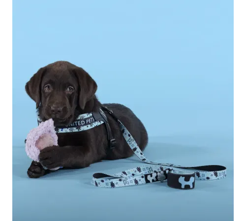 United Pets Поводок Complete me Writing, голубой с рисунком, 16 мм, 140 см