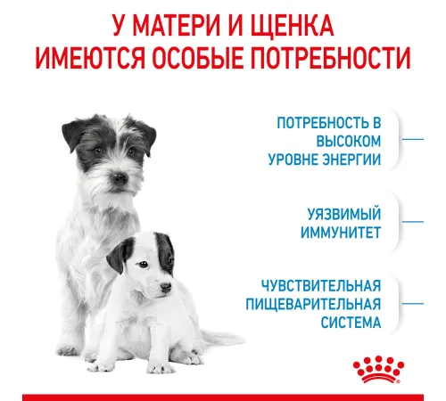 Royal Canin Mini Starter, 1 кг