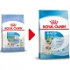 Royal Canin Mini Starter, 1 кг