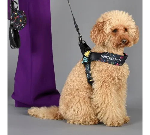 United Pets Шлейка Complete me, черный с разноцветными булавками, 1,5 х 34-42 см