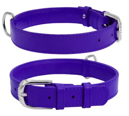 Collar Ошейник 