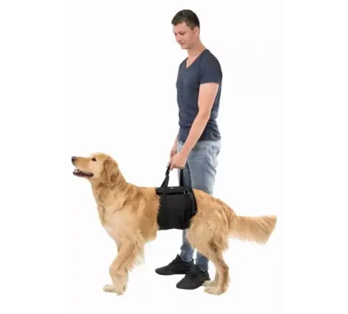 Veterinary Care Ходунки-поддержка для животных, M