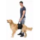Veterinary Care Ходунки-поддержка для животных, M