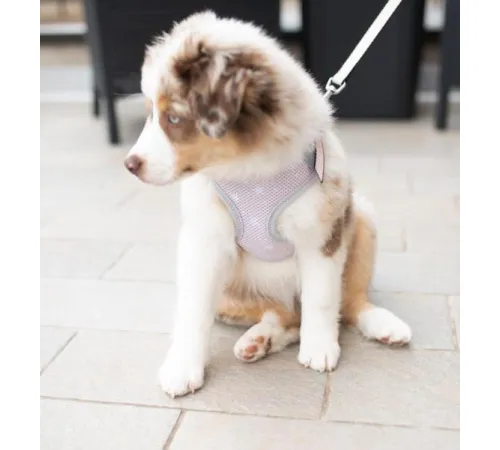 Ferplast Шлейка NIKITA P PUPPY (голубая) XXS