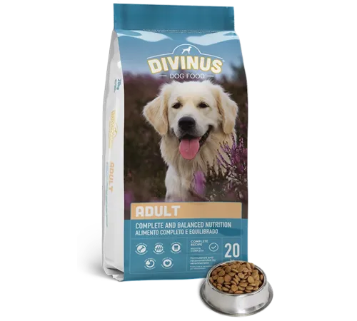 Divinus Dog Adult, 20 кг