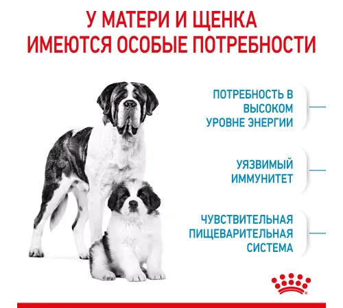 Royal Canin Giant Starter, 4 кг