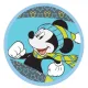 WD1047 Комбинезон зимний Mickey-2, XS