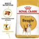 Royal Canin Beagle Adult, 3 кг