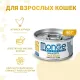 Monge Cat Monoprotein Мясные хлопья из курицы, 80 г