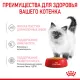 Royal Canin Kitten (желе) 85 гр