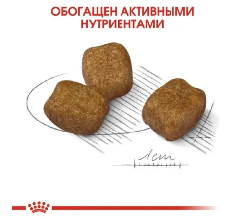 Royal Canin Mini Dental Care, 1 кг