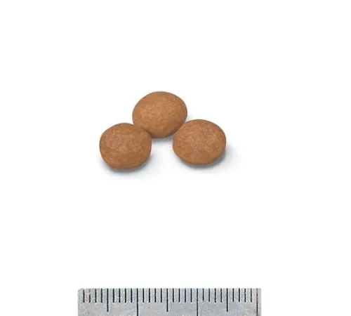 Royal Canin X-small Adult 8+ 500 г