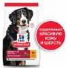 2,5 кг