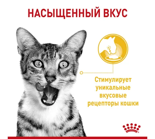 Royal Canin Sensory Taste (соус) 85 г