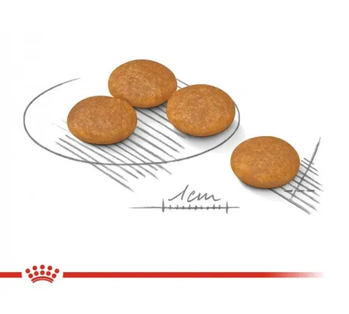 Royal Canin Mini Dermacomfort, 1 кг