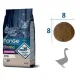 Monge Cat Bwild Low Grain Kitten (Гусь), 1,5 кг