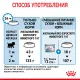 Royal Canin Mini Starter, 1 кг