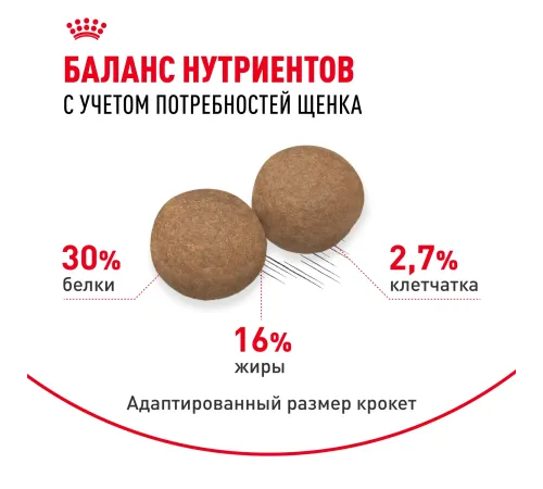 Royal Canin Maxi Puppy, 3 кг