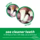TropiClean Fresh Breath Oral Care Clean Teeth Gel for Dogs, 59 мл