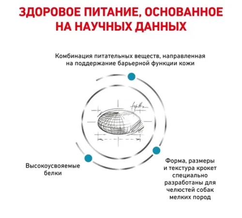 Royal Canin Skin Care Small Dog, 2 кг + EDUC в подарок