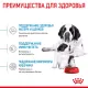 Royal Canin Giant Starter, 4 кг