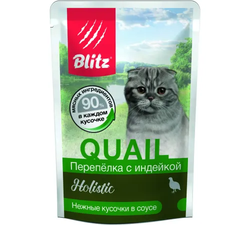 BLITZ Holistic Cat (Перепелка с индейкой), 85 г