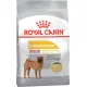 Royal Canin Medium Dermacomfort, 3 кг