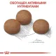 Royal Canin Maxi Digestive Care, 3 кг