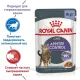Royal Canin Appetite Control Care (желе), 85 г х 12 шт (уп)