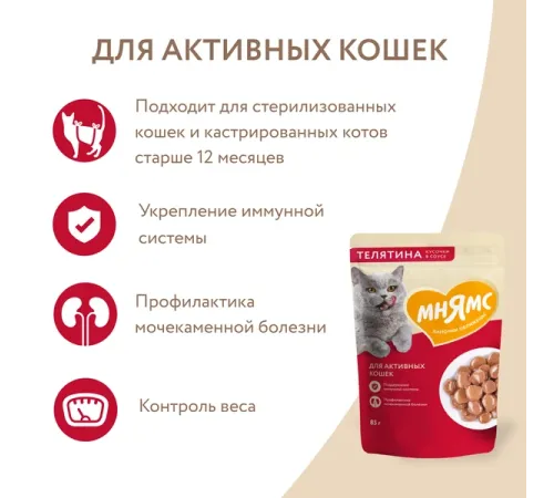 Мнямс для активных кошек Кусочки в соусе с телятиной, 85 г