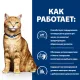 Hill's Prescription Diet c/d Multicare Urinary Care для кошек, с курицей 8 кг