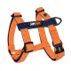Joyser Шлея Base Step-in Harness, оранжевая, М