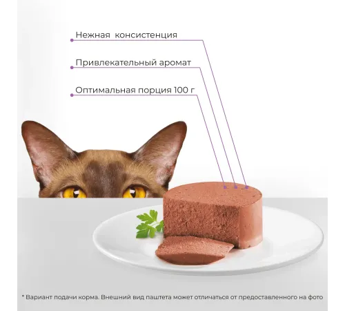Yumster Adult Cat Паштет (Лосось), 100 г